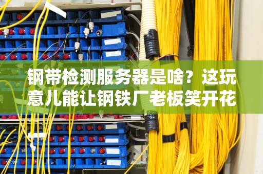 钢带检测服务器是啥？这玩意儿能让钢铁厂老板笑开花？