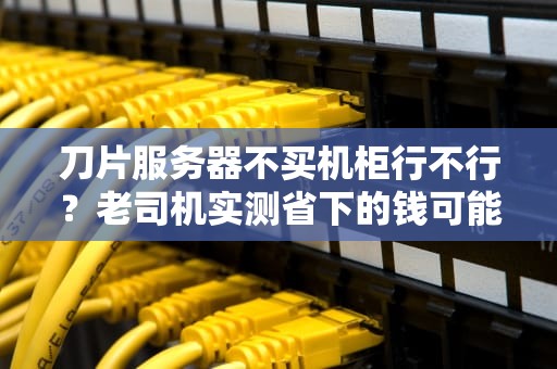 刀片服务器不买机柜行不行？老司机实测省下的钱可能让你哭晕在厕所！
