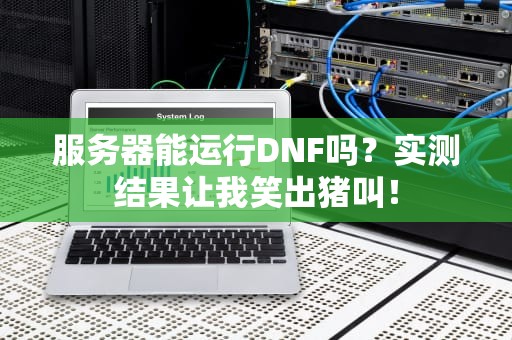 服务器能运行DNF吗？实测结果让我笑出猪叫！