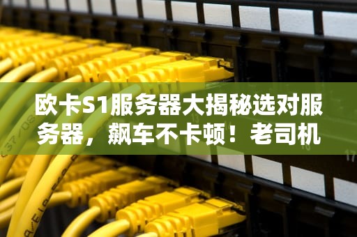 欧卡S1服务器大揭秘选对服务器，飙车不卡顿！老司机带你避坑