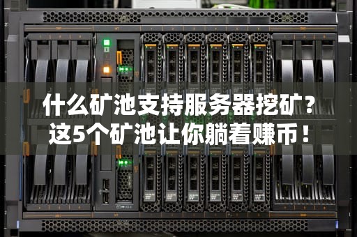 什么矿池支持服务器挖矿？这5个矿池让你躺着赚币！