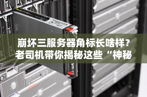 崩坏三服务器角标长啥样？老司机带你揭秘这些“神秘符号”的真相！