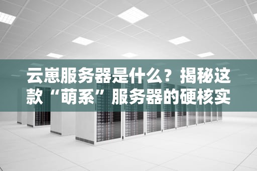云崽服务器是什么？揭秘这款“萌系”服务器的硬核实力！