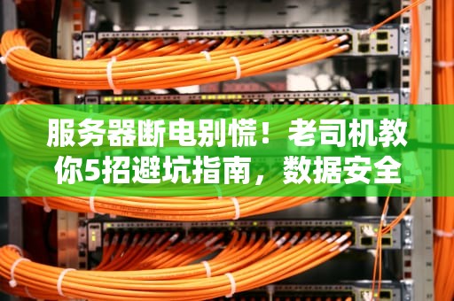 服务器断电别慌！老司机教你5招避坑指南，数据安全稳如狗
