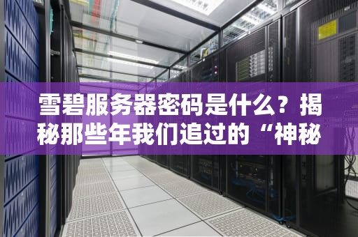 雪碧服务器密码是什么？揭秘那些年我们追过的“神秘代码”