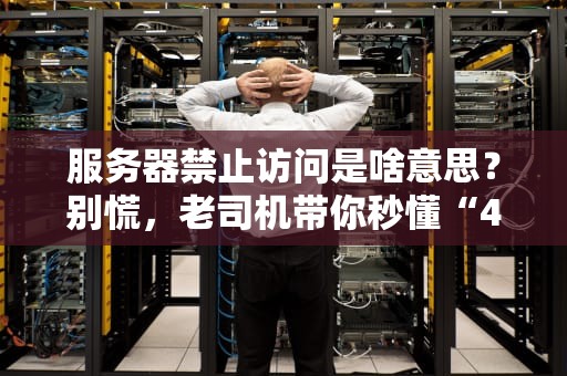 服务器禁止访问是啥意思？别慌，老司机带你秒懂“404”背后的秘密！