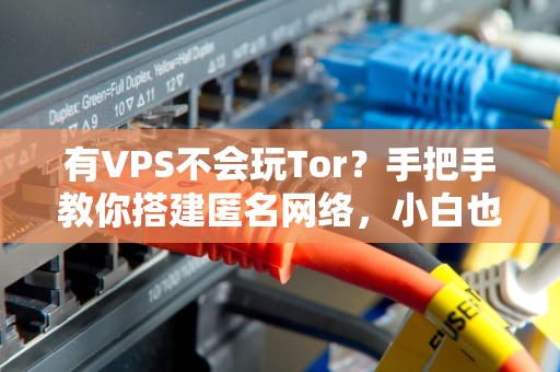 有VPS不会玩Tor？手把手教你搭建匿名网络，小白也能秒变黑客（狗头）