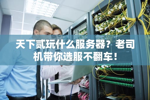 天下贰玩什么服务器？老司机带你选服不翻车！