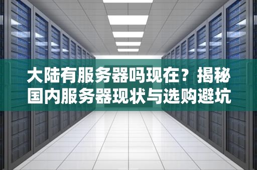 大陆有服务器吗现在？揭秘国内服务器现状与选购避坑指南！