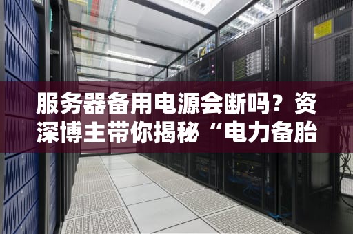 服务器备用电源会断吗？资深博主带你揭秘“电力备胎”那些事儿！