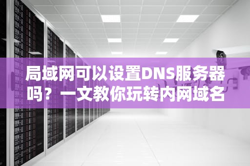 局域网可以设置DNS服务器吗？一文教你玩转内网域名解析！