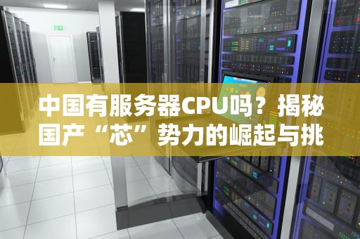 中国有服务器CPU吗？揭秘国产“芯”势力的崛起与挑战！