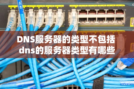 DNS服务器的类型不包括 dns的服务器类型有哪些