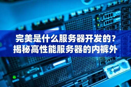 完美是什么服务器开发的？揭秘高性能服务器的内裤外穿哲学！
