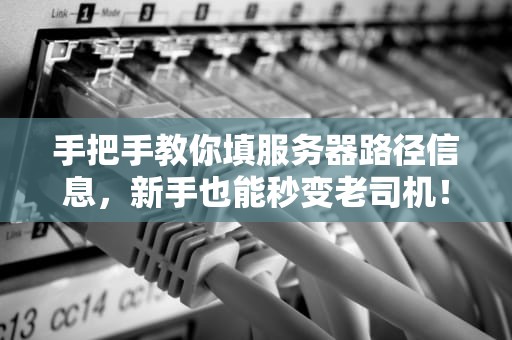 手把手教你填服务器路径信息，新手也能秒变老司机！