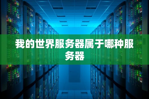 我的世界服务器属于哪种服务器