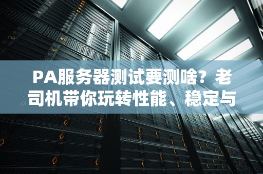 PA服务器测试要测啥？老司机带你玩转性能、稳定与安全的“三重奏”！