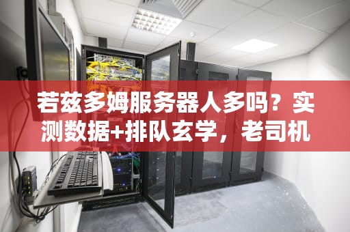 若兹多姆服务器人多吗？实测数据+排队玄学，老司机带你避坑！