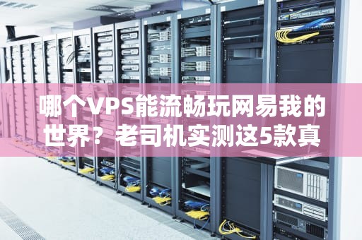 哪个VPS能流畅玩网易我的世界？老司机实测这5款真香！