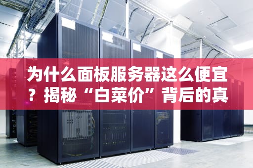 为什么面板服务器这么便宜？揭秘“白菜价”背后的真相！