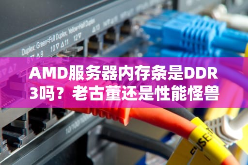 AMD服务器内存条是DDR3吗？老古董还是性能怪兽？真相笑死！