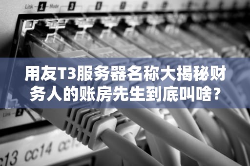 用友T3服务器名称大揭秘财务人的账房先生到底叫啥？