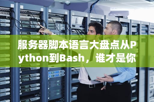 服务器脚本语言大盘点从Python到Bash，谁才是你的“真命天子”？
