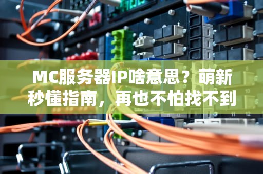 MC服务器IP啥意思？萌新秒懂指南，再也不怕找不到家！