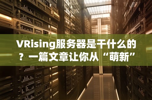 VRising服务器是干什么的？一篇文章让你从“萌新”变“老司机”！
