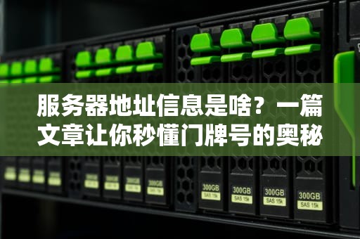 服务器地址信息是啥？一篇文章让你秒懂门牌号的奥秘！