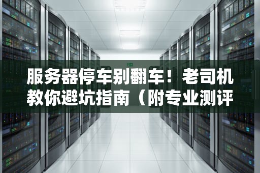 服务器停车别翻车！老司机教你避坑指南（附专业测评）