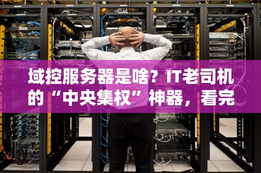 域控服务器是啥？IT老司机的“中央集权”神器，看完这篇你就懂了！