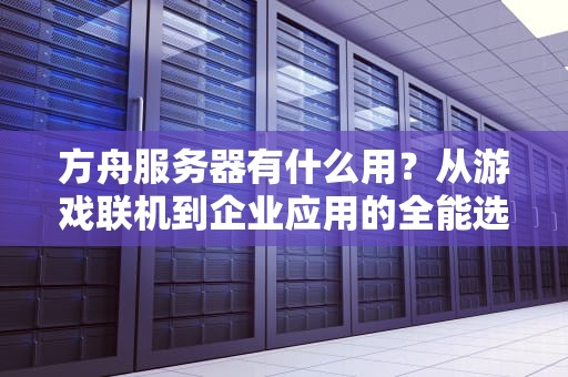 方舟服务器有什么用？从游戏联机到企业应用的全能选手