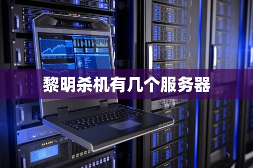 黎明杀机有几个服务器