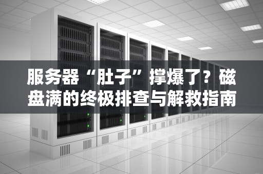服务器“肚子”撑爆了？磁盘满的终极排查与解救指南！