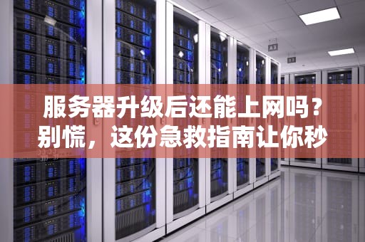服务器升级后还能上网吗？别慌，这份急救指南让你秒变IT老司机！