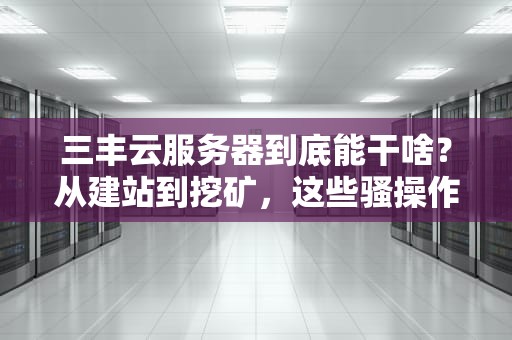 三丰云服务器到底能干啥？从建站到挖矿，这些骚操作你绝对想不到！