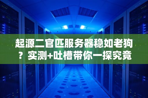 起源二官匹服务器稳如老狗？实测+吐槽带你一探究竟！