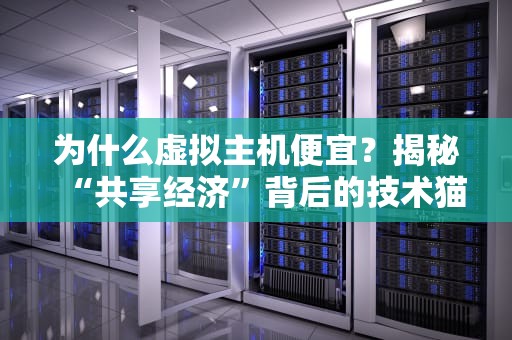 为什么虚拟主机便宜？揭秘“共享经济”背后的技术猫腻！