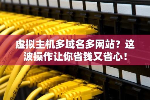 虚拟主机多域名多网站？这波操作让你省钱又省心！