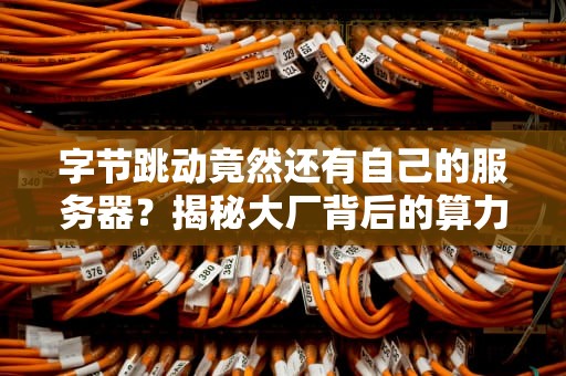 字节跳动竟然还有自己的服务器？揭秘大厂背后的算力心脏！