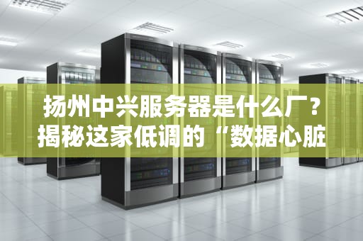 扬州中兴服务器是什么厂？揭秘这家低调的“数据心脏”制造商！