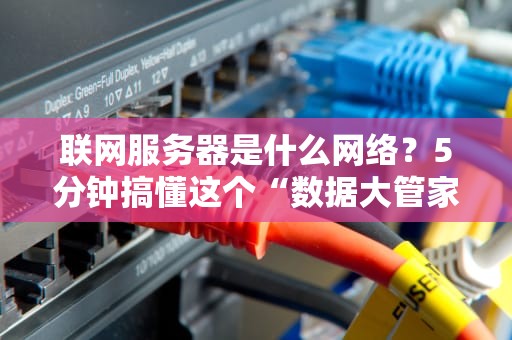 联网服务器是什么网络？5分钟搞懂这个“数据大管家”的日常！