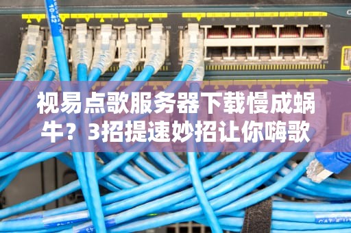 视易点歌服务器下载慢成蜗牛？3招提速妙招让你嗨歌不停！