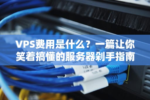 VPS费用是什么？一篇让你笑着搞懂的服务器剁手指南！