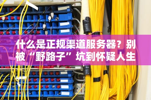 什么是正规渠道服务器？别被“野路子”坑到怀疑人生！