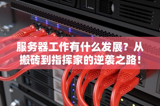 服务器工作有什么发展？从搬砖到指挥家的逆袭之路！