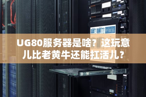 UG80服务器是啥？这玩意儿比老黄牛还能扛活儿？