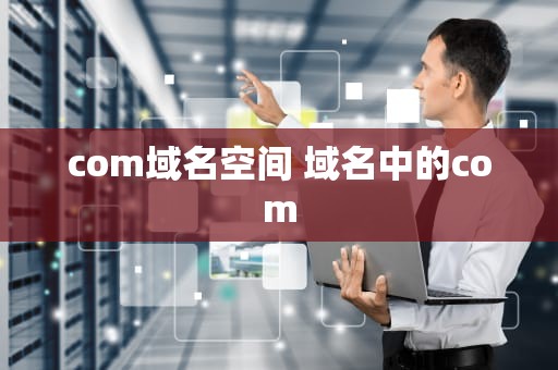 com域名空间 域名中的com