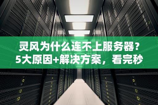 灵风为什么连不上服务器？5大原因+解决方案，看完秒变技术大神！